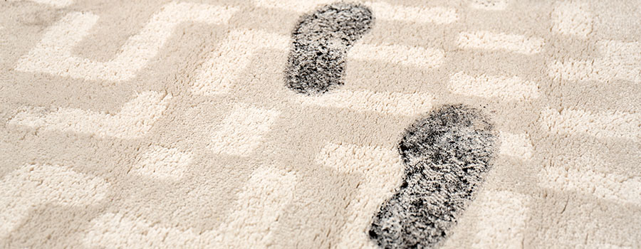 new carpet carpet Santa Clarita